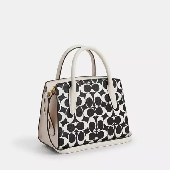 NEW! Andrea Carryall in Signature Canvas, CP080 - Picture 3 of 8